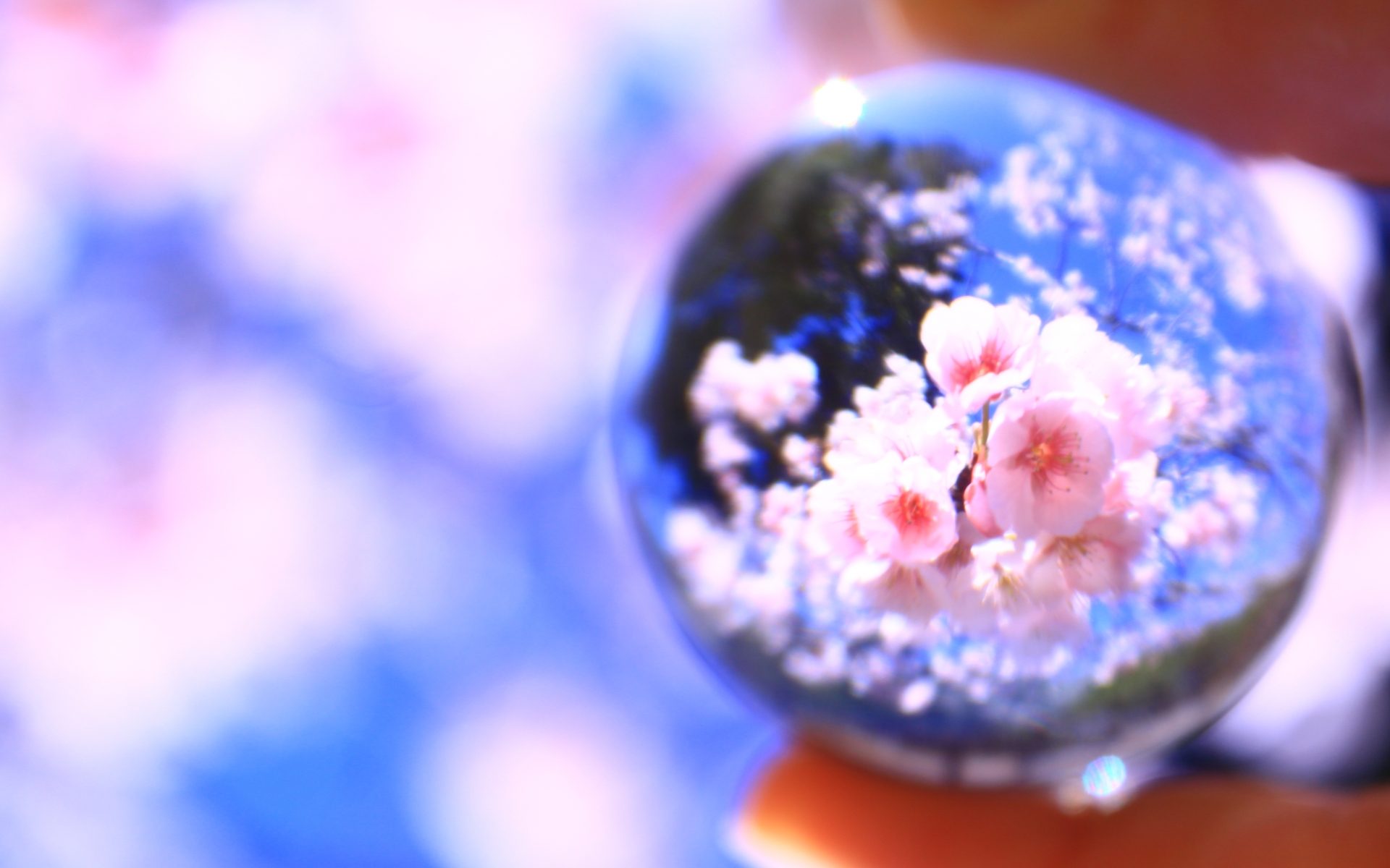 メイヴ座 国際占い師 穴口恵子