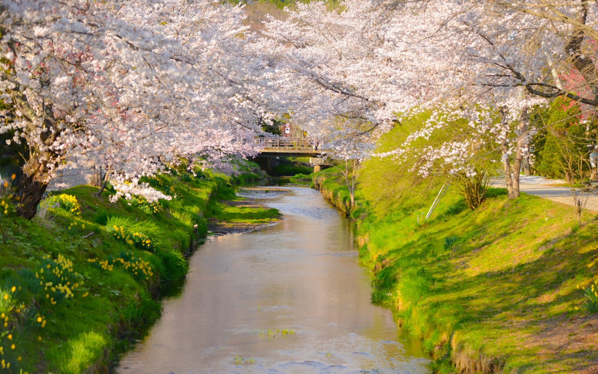 メイヴ座 国際占い師 穴口恵子